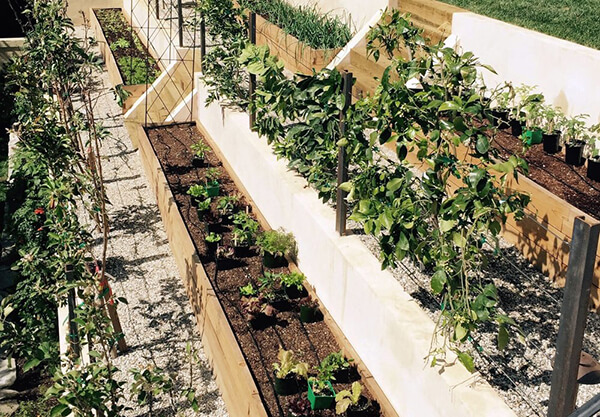 custom garden installations by MinifarmBox